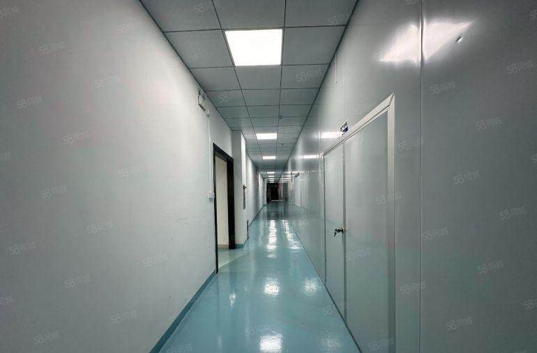 无尘车间！塘厦一房东楼上2000平带装修低价厂房出租