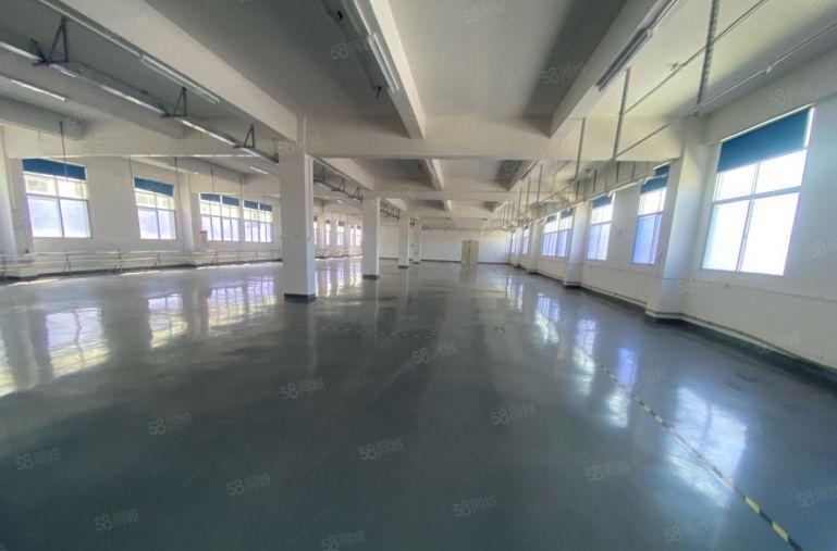 塘厦科苑城标准楼上980平方！无公摊！蹭亮地坪漆精装修