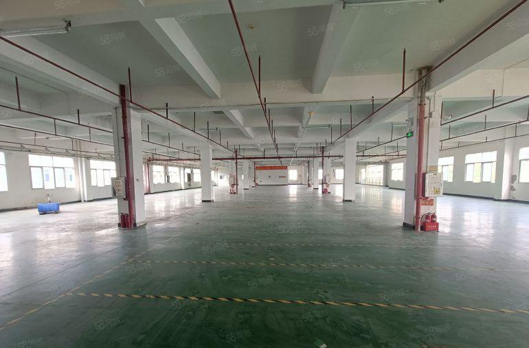 塘厦沙湖整层2300平面积灵活分租带红本低价出租，二次消防