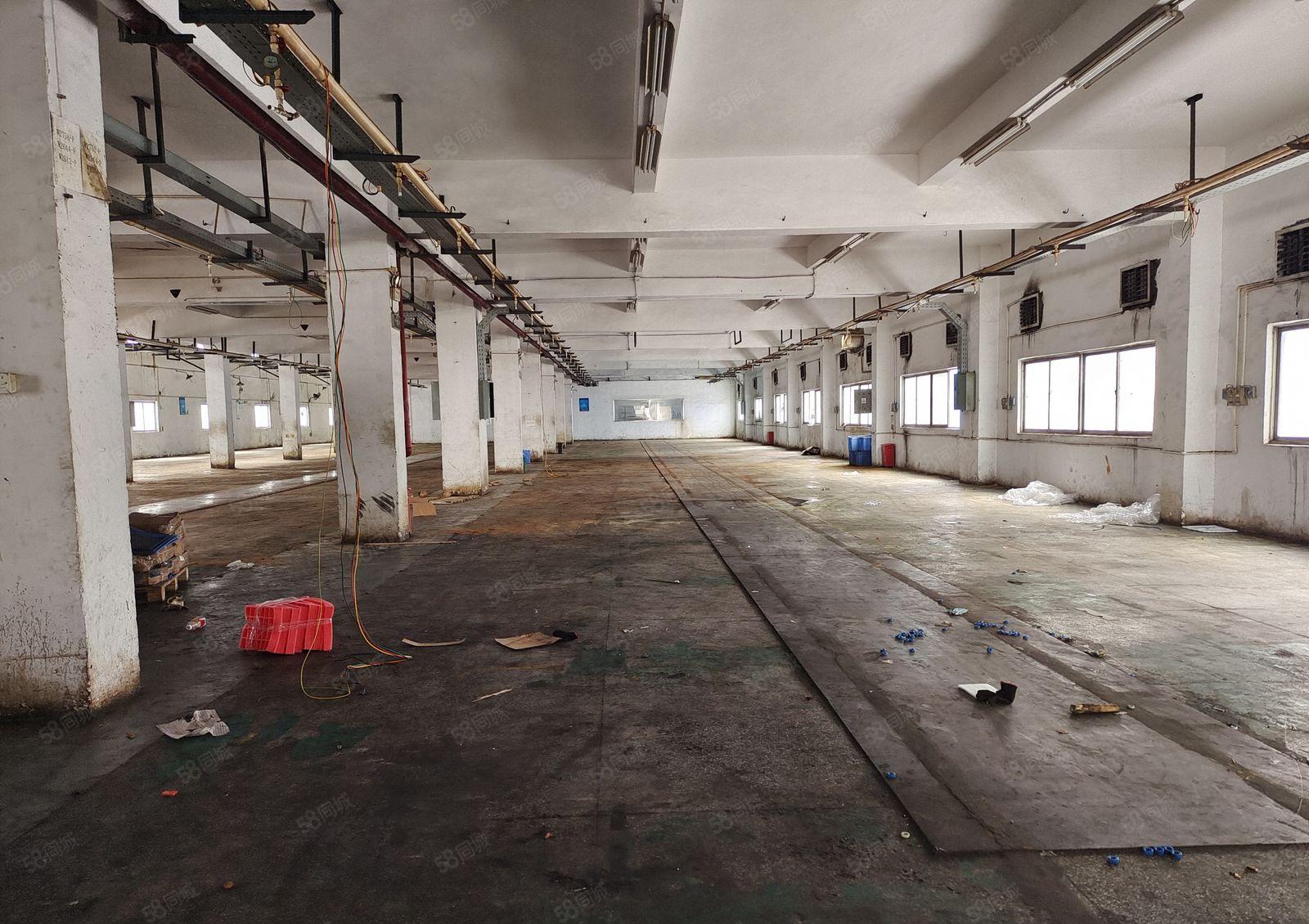 塘厦一手房东厂房出租，实积面积2楼1200平方