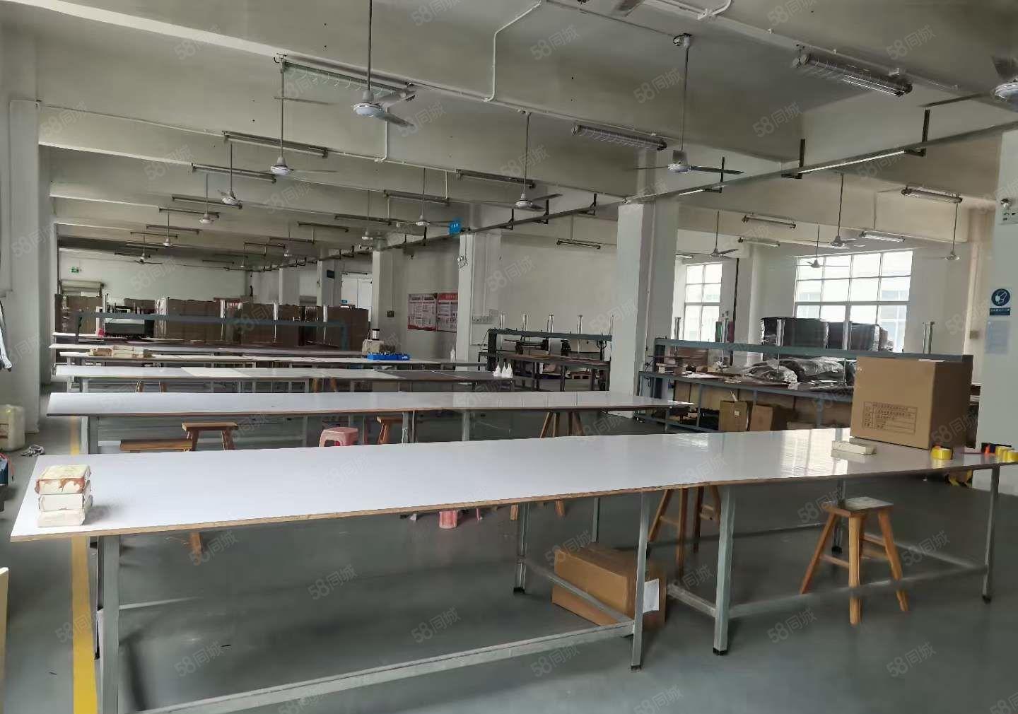 塘厦莆心湖标准二楼1000平园区厂房出租，带装修前台办公室