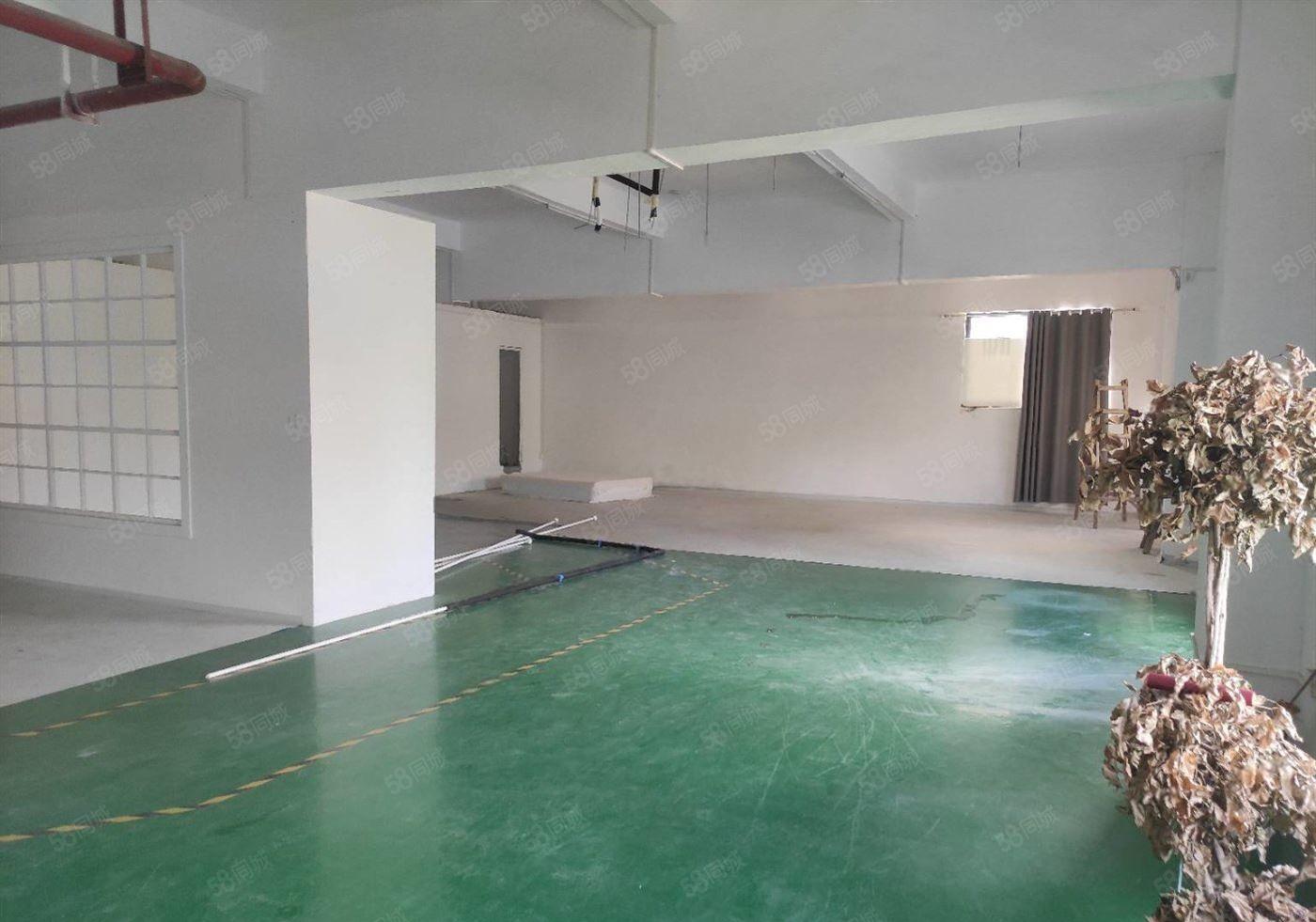 桥陇精装厂房仓库300平米出租 使用率高