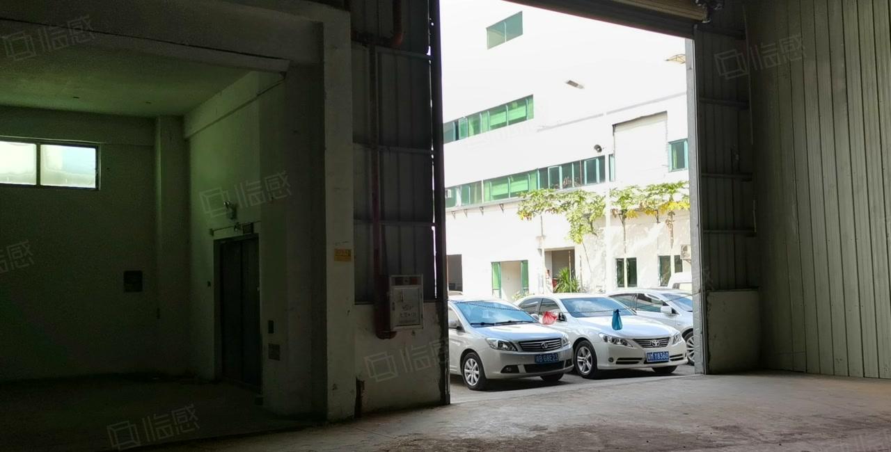 5百平起分租，塘厦128工业区独院9千平红本钢构仓库厂房出租