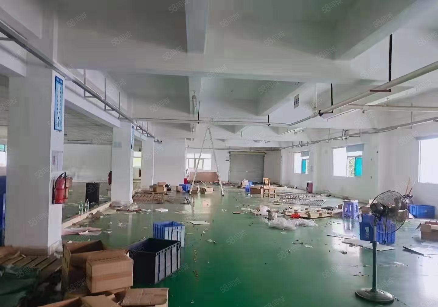 塘厦科苑城带装修二三楼厂房出租水电装修齐全