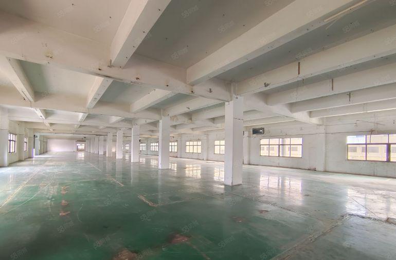 塘厦168工业区标准二楼2500平可分租特价13元厂房出租