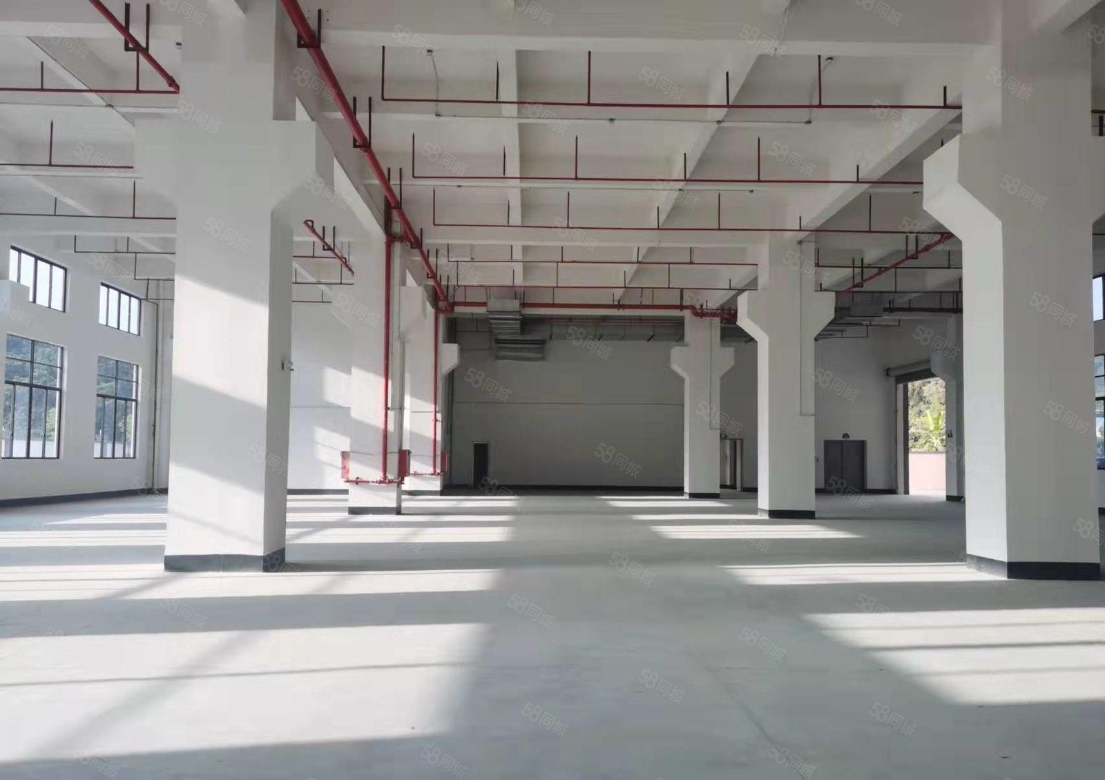 塘厦清湖头一楼6.5米高1500平带牛角可办环评厂房仓库出租