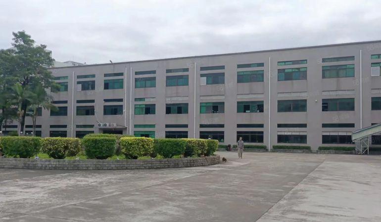 塘厦沙湖独院标准1楼3200平方，高度6.5米，消防喷淋齐全