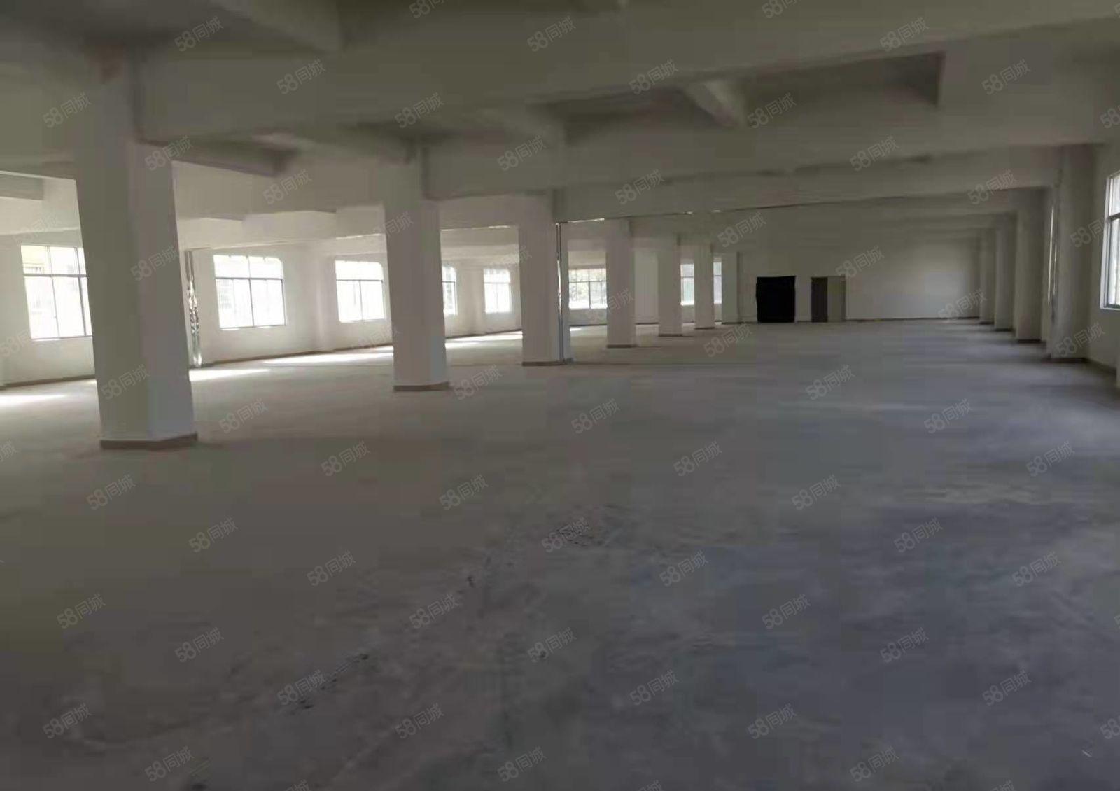 塘厦镇石鼓新出标准一楼1000平米厂房出租