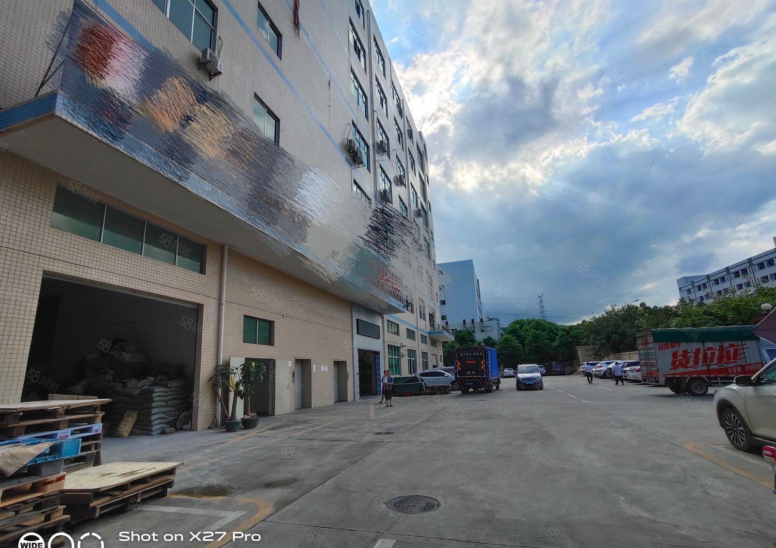 塘厦沙湖独栋标准厂房1000平，现成装修无转让费用，房东本地