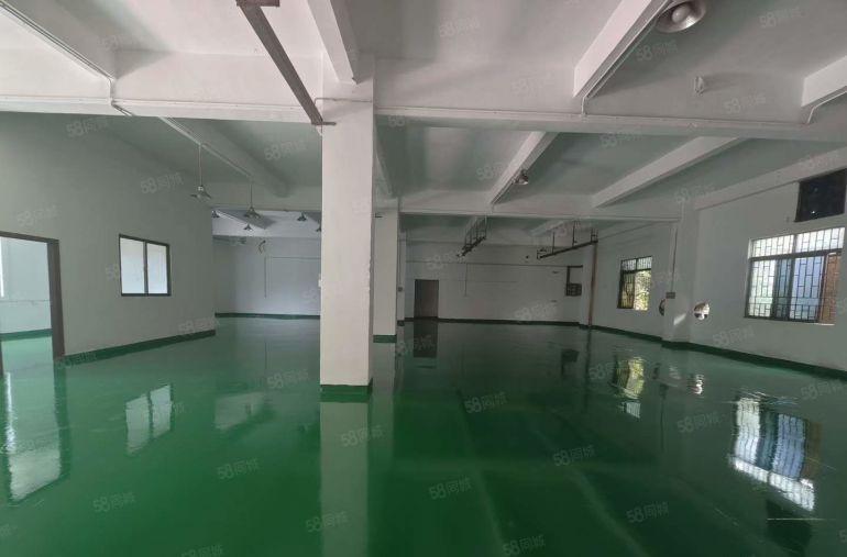 塘厦四村标准一楼580平小面积仓库厂房出租，全新精装修