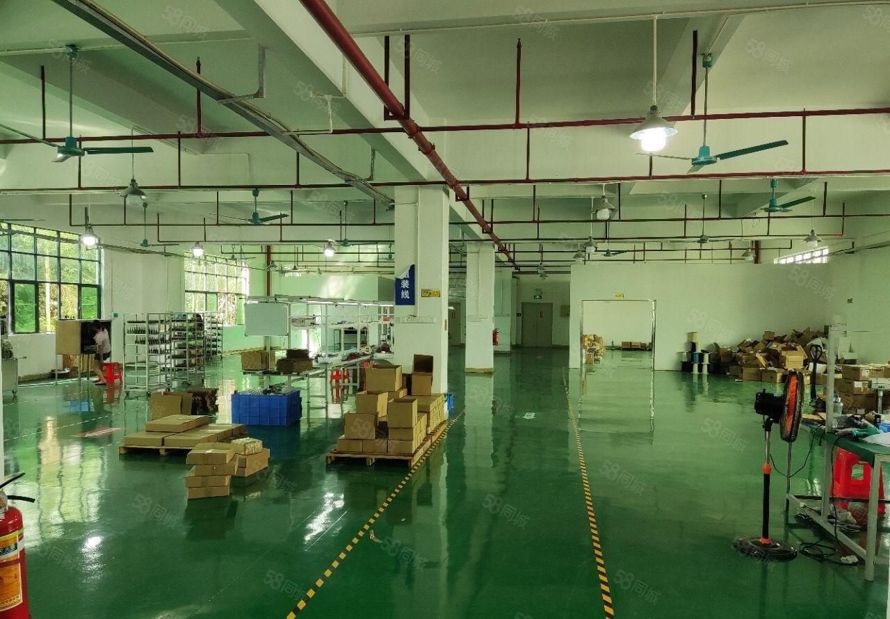 塘厦清湖头工业区标准一楼1600平方