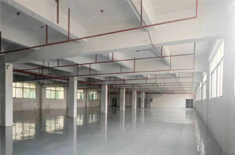 特价12元高速口形象好厂房出租！塘厦科苑城2000平独院！