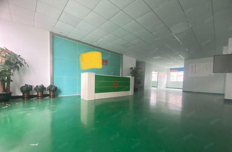 一房东！12元 ! 林村楼上1100平豪华装修