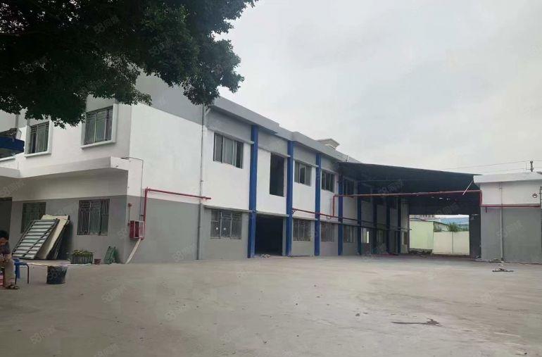 塘厦汽车站独院标准厂房出租一楼1175平电大空地大主线到车间