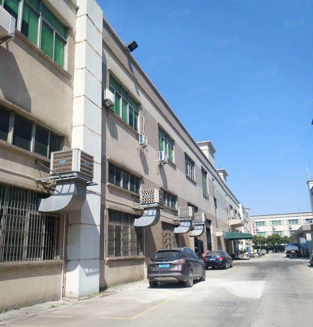 塘厦镇塘厦动车站新出一楼6米带现成5吨航车厂房1000平方