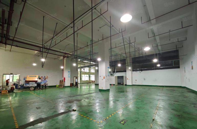 原房东高6.5米一楼厂房出租 现成办公室水电适合五金注塑模具