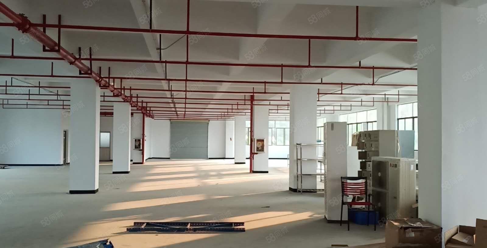 塘厦科苑城8000平独院厂房出租 标准厂房分租单层2000平