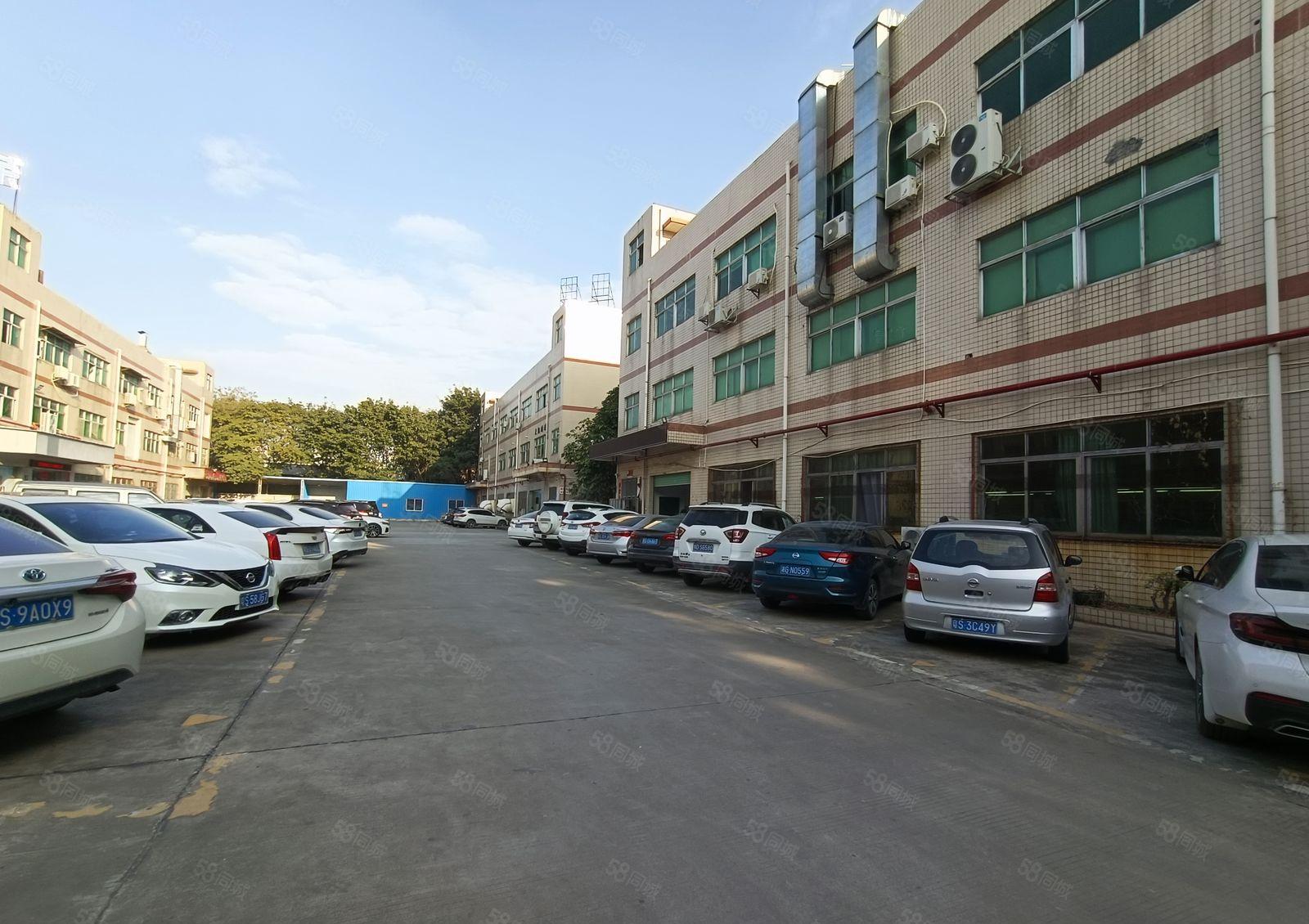 塘厦林村新出楼上1300平带装修，水电齐全，原房东低价甩租！