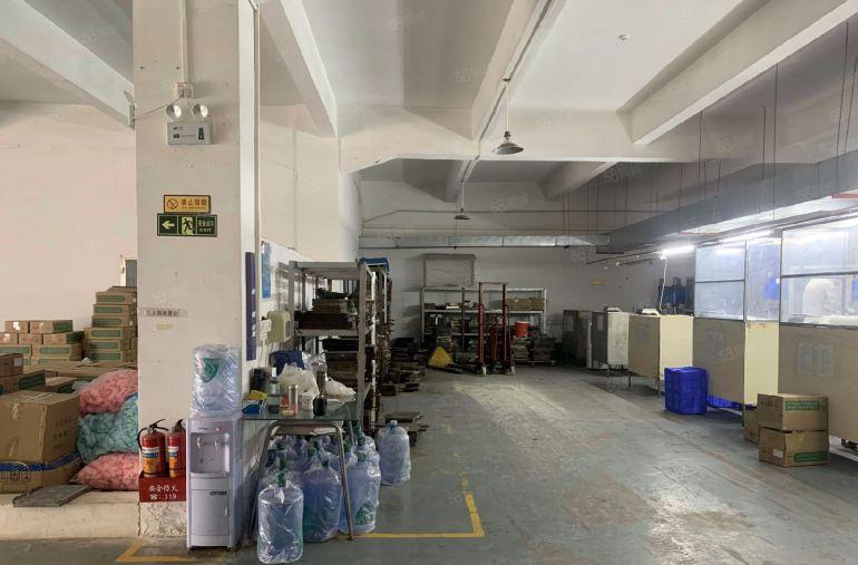 塘厦沙湖经典小独院4800厂房13层3000钢结构1楼