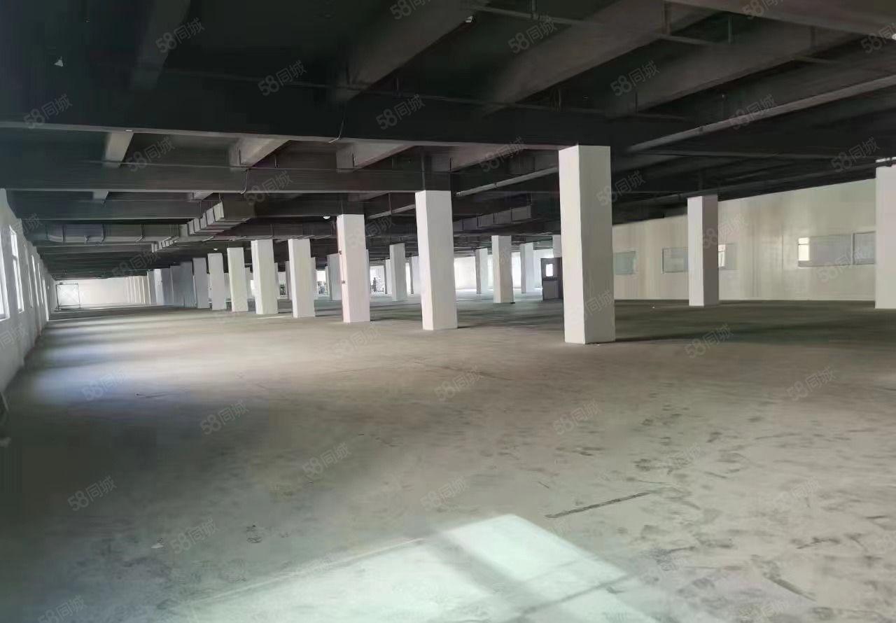 与深圳半小时塘厦高速出口2公里花园独栋厂房 可整租可分租