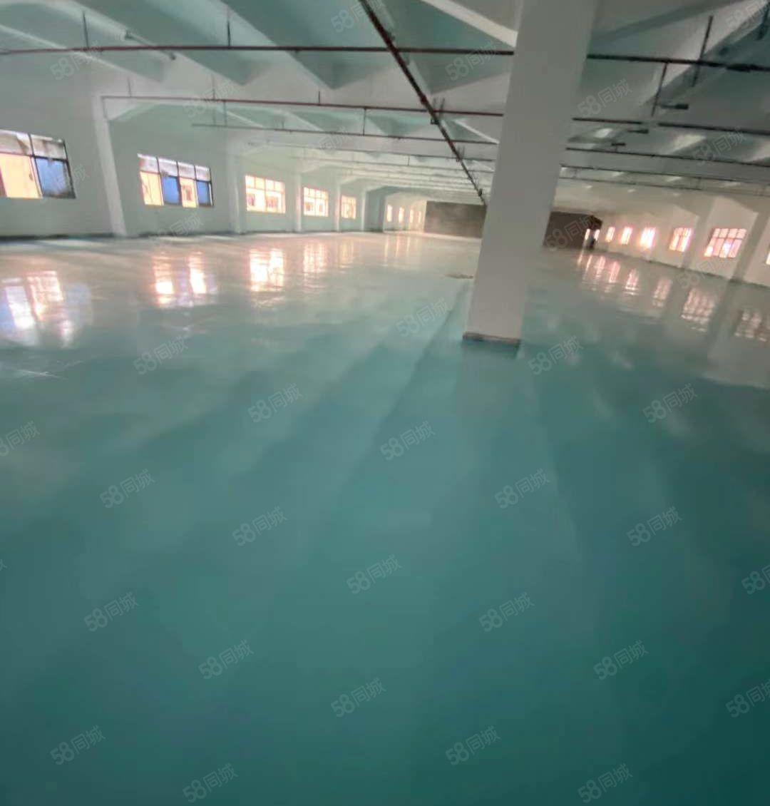 塘厦石鼓楼上标准厂房2600平大小可分租，消防喷淋，现成装修