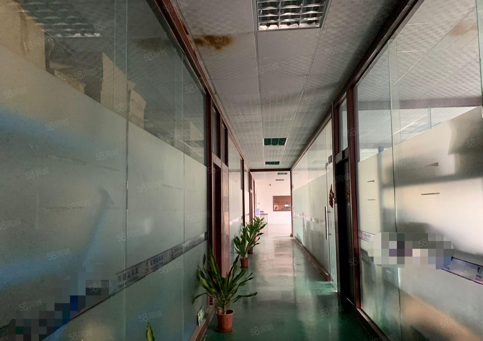 塘厦可以做电池厂房外环高速附近新出2楼1400平方带装修出租