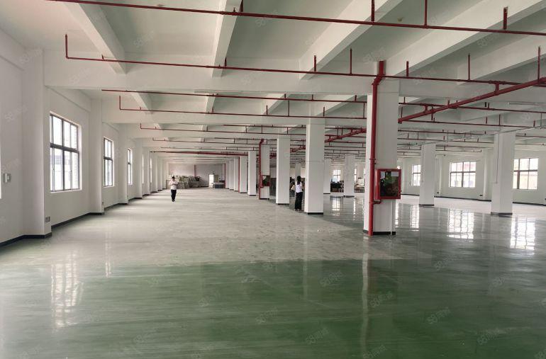 塘厦大坪高速出口原房东红本厂房出租标准一楼2800平卸货平台