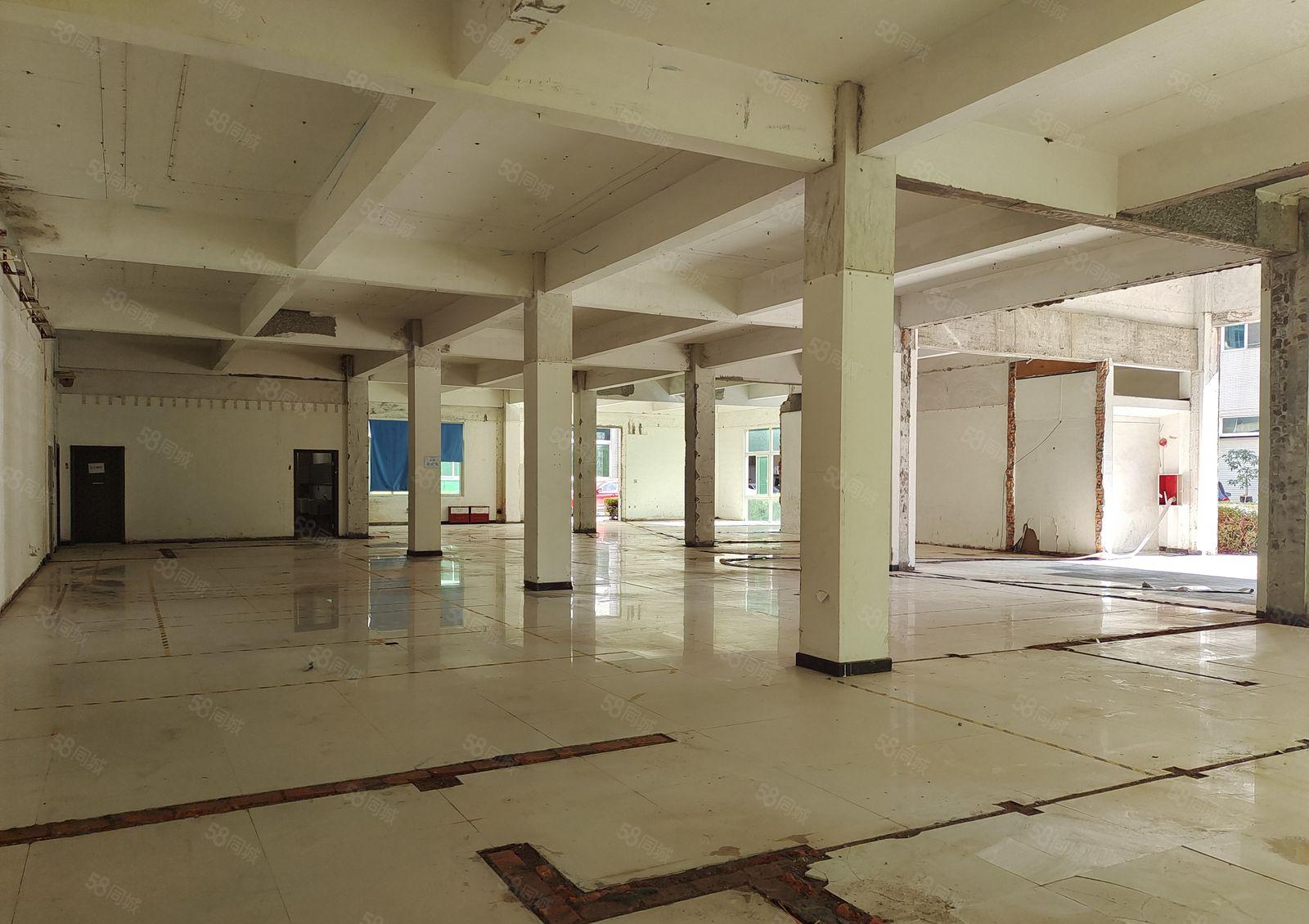 塘厦田心新出一楼800平方，适合各种行业