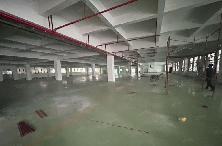 原房东直租标准2楼6500平方！无公摊！现成格局装修