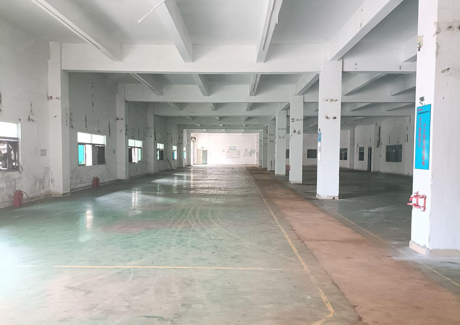 塘厦石鼓新出独门独院10000平厂房出租，高速近大车进出方便