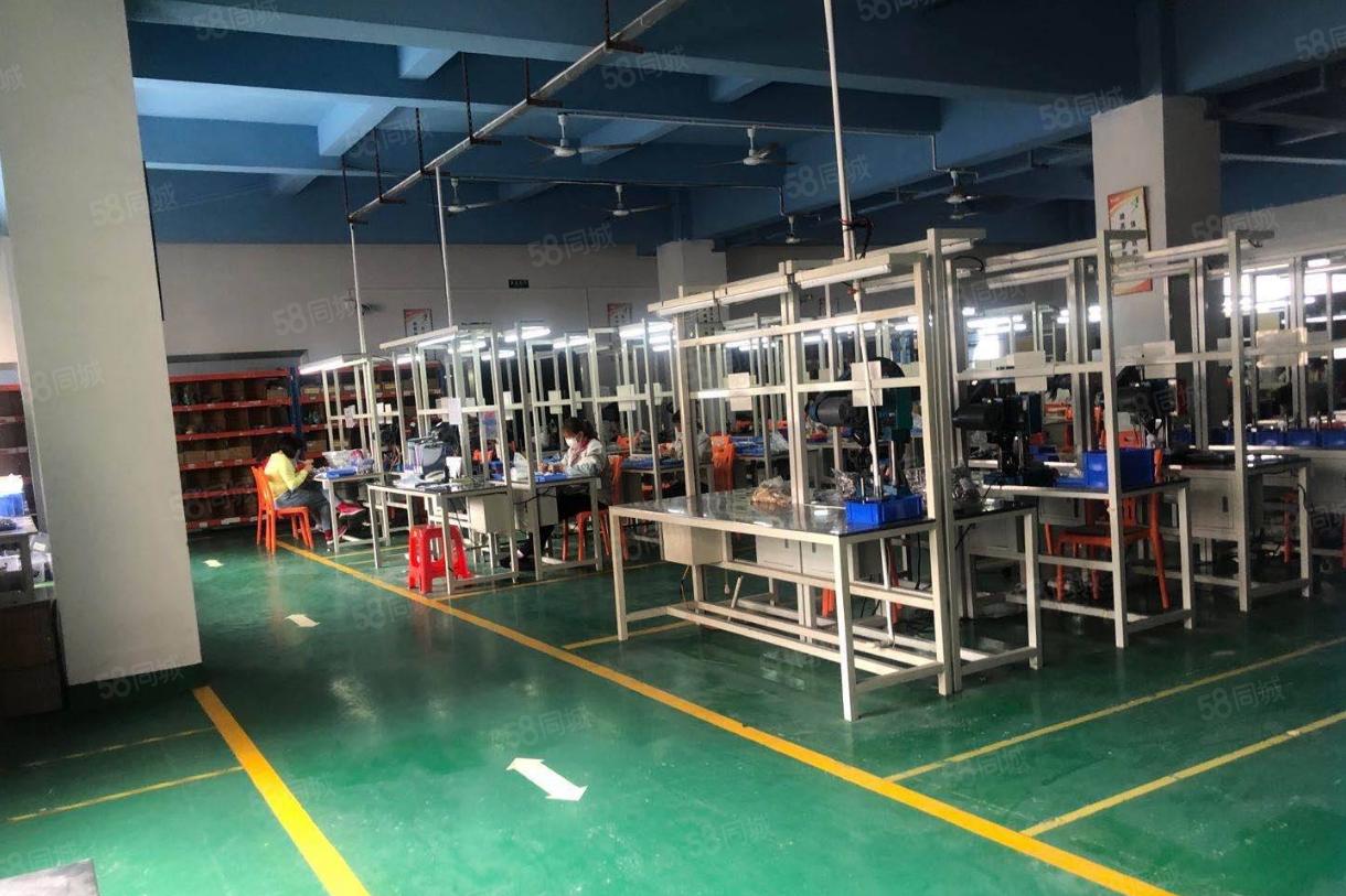 塘厦林村标准独院3300平，易招工，现成装修水电，原房东