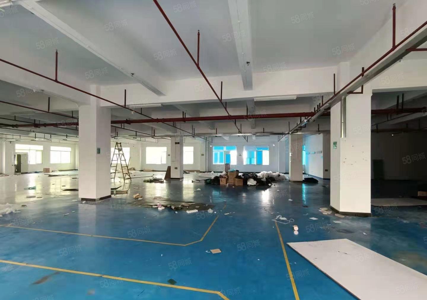 塘厦原房东无尘车间出租，近高速口，厂房花园式厂房