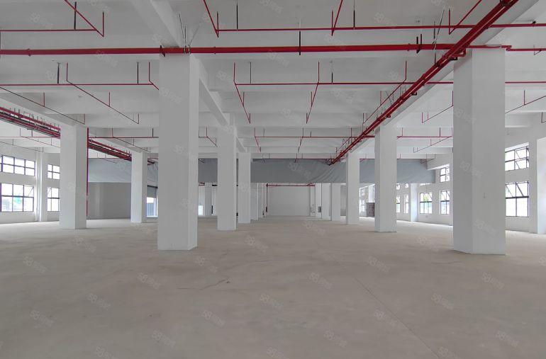 红本双证标准厂房出租 工业用地 可办环评，园区空地大。