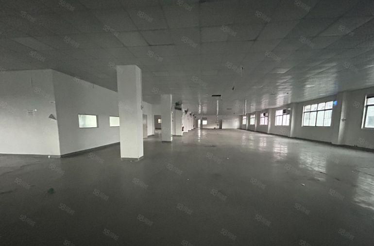 塘厦蛟乙塘独院标准4楼1680平方，全层吊顶地坪漆精装修！