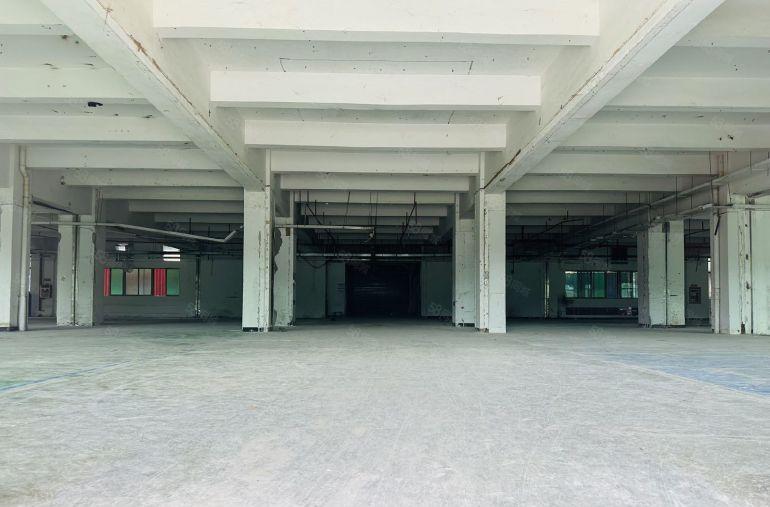 塘厦石鼓工业园29298平大小可分租花园式厂房