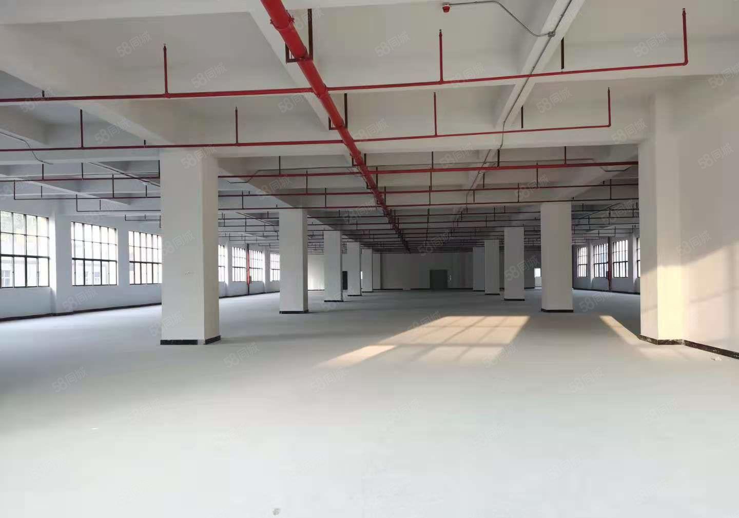 塘厦沙湖原房东自建红本厂房2万平单层3000平厂房仓库出租