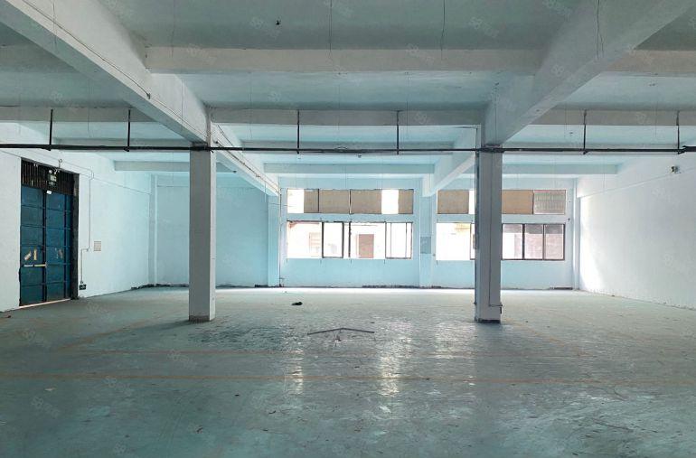 塘厦新出独门独院交通方便可分租