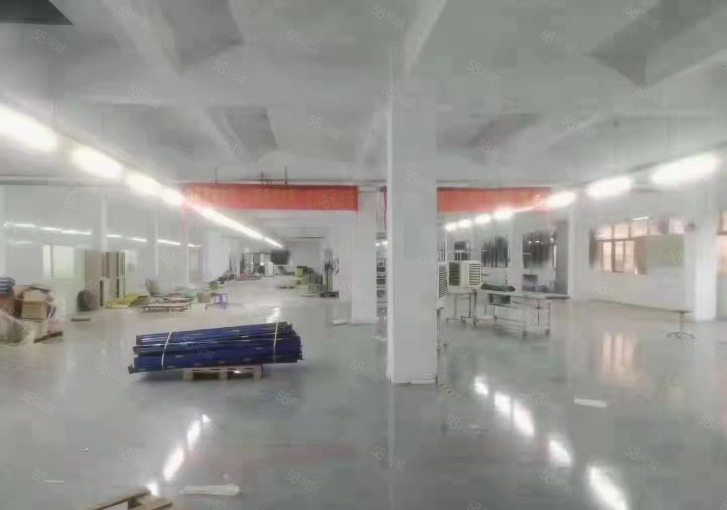 塘厦镇138新出楼上标准厂房2650平米出租