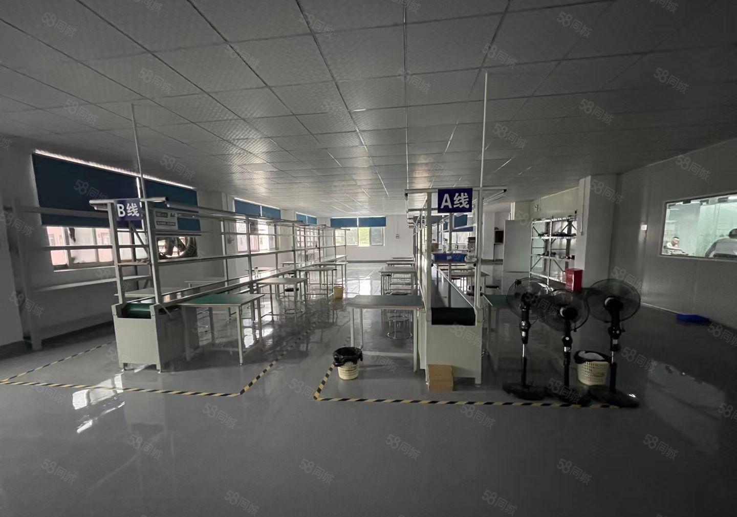 靓房！塘厦清湖头出租楼上厂房900平，全新精装修，主线到位