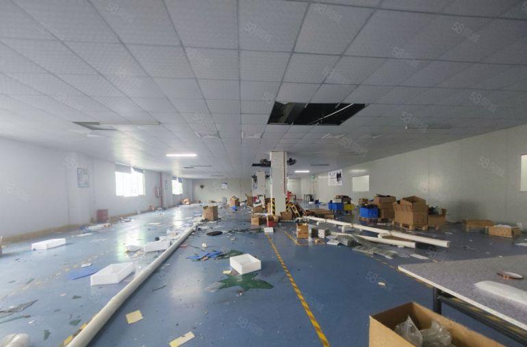 塘厦沙湖将空出二楼整层2000平厂房，漂亮精装修无转让费出租