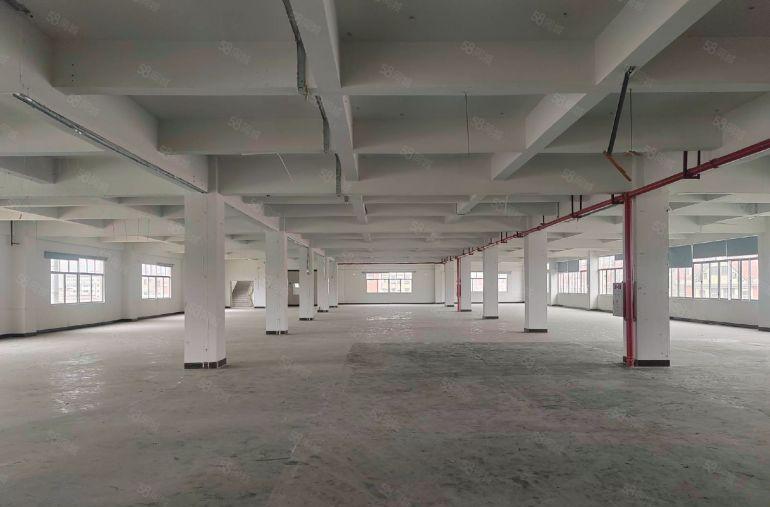 东莞塘厦4楼零公摊实际面积出租整层2000平方米，13平