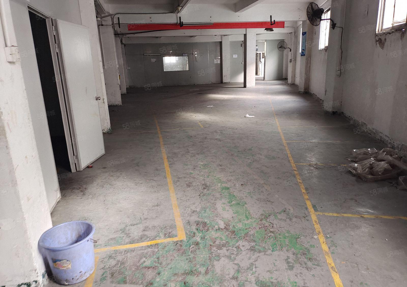 塘厦一手房东厂房出租，实积面积2楼1200平方