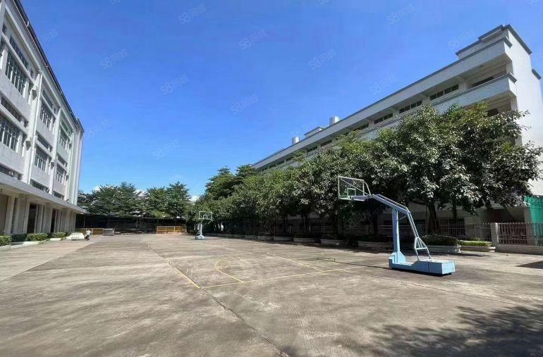 12元一手房东！塘厦田心新出楼上6000平厂房出租拎包生产。