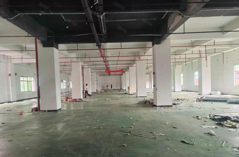 塘厦石马原房东3楼1980平零公摊13元实际面积出租