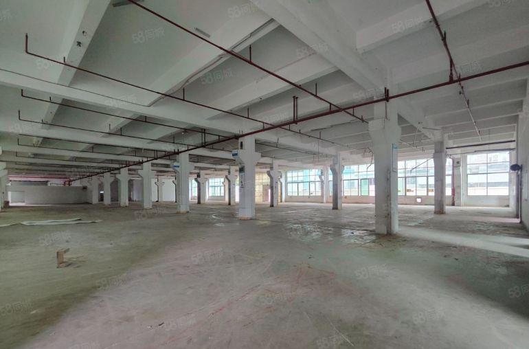 免租期6个月，12元起！塘厦独院10000平厂房电商仓库出租