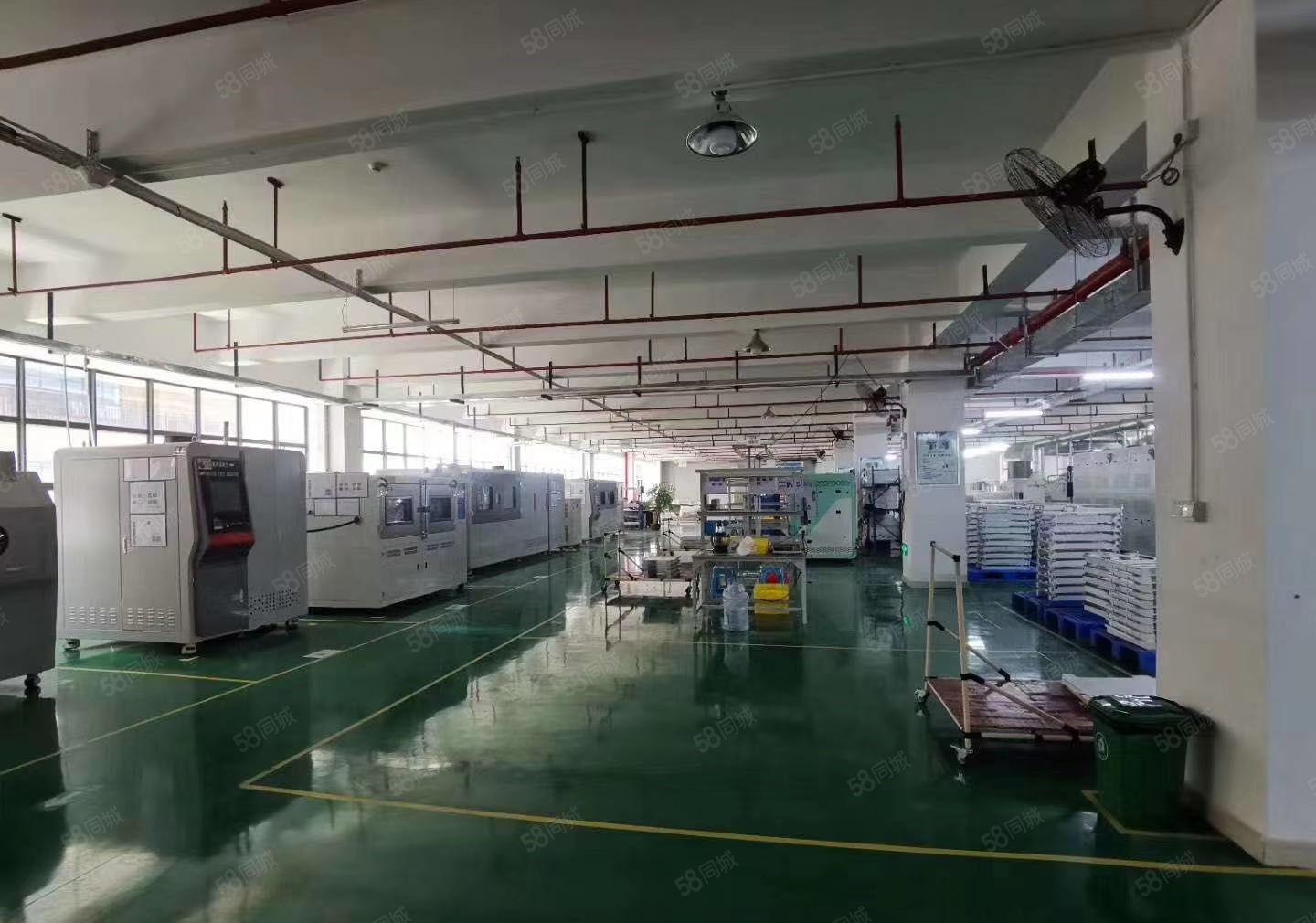 塘厦高速口科苑城新出楼上2000平带豪华装修厂房仓库出租