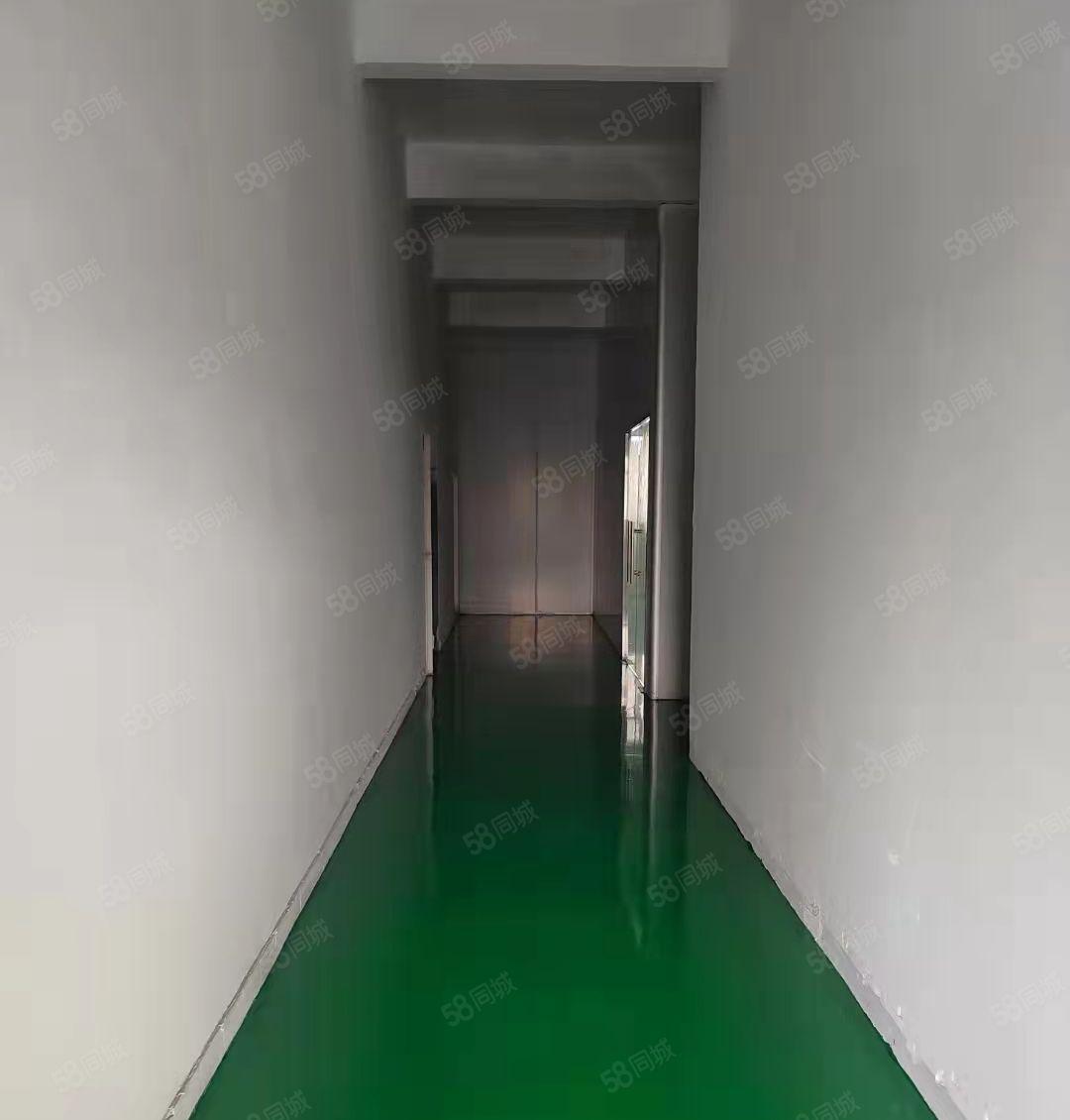 东莞塘厦新出楼上标准厂房1300平方