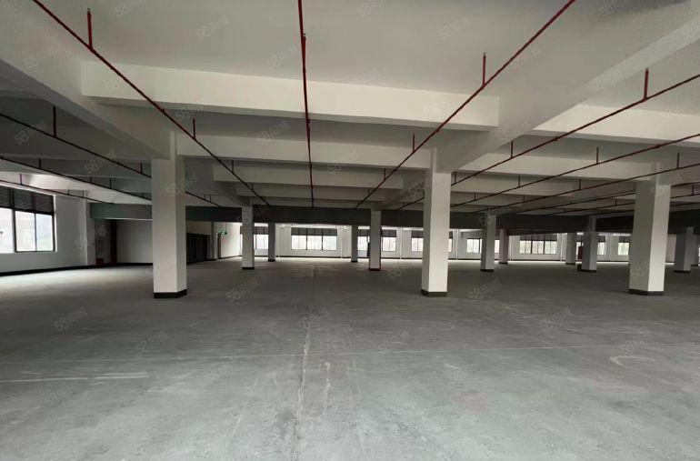 10元塘厦原房东无尘精装修独院厂房出租一楼到三楼各1000平