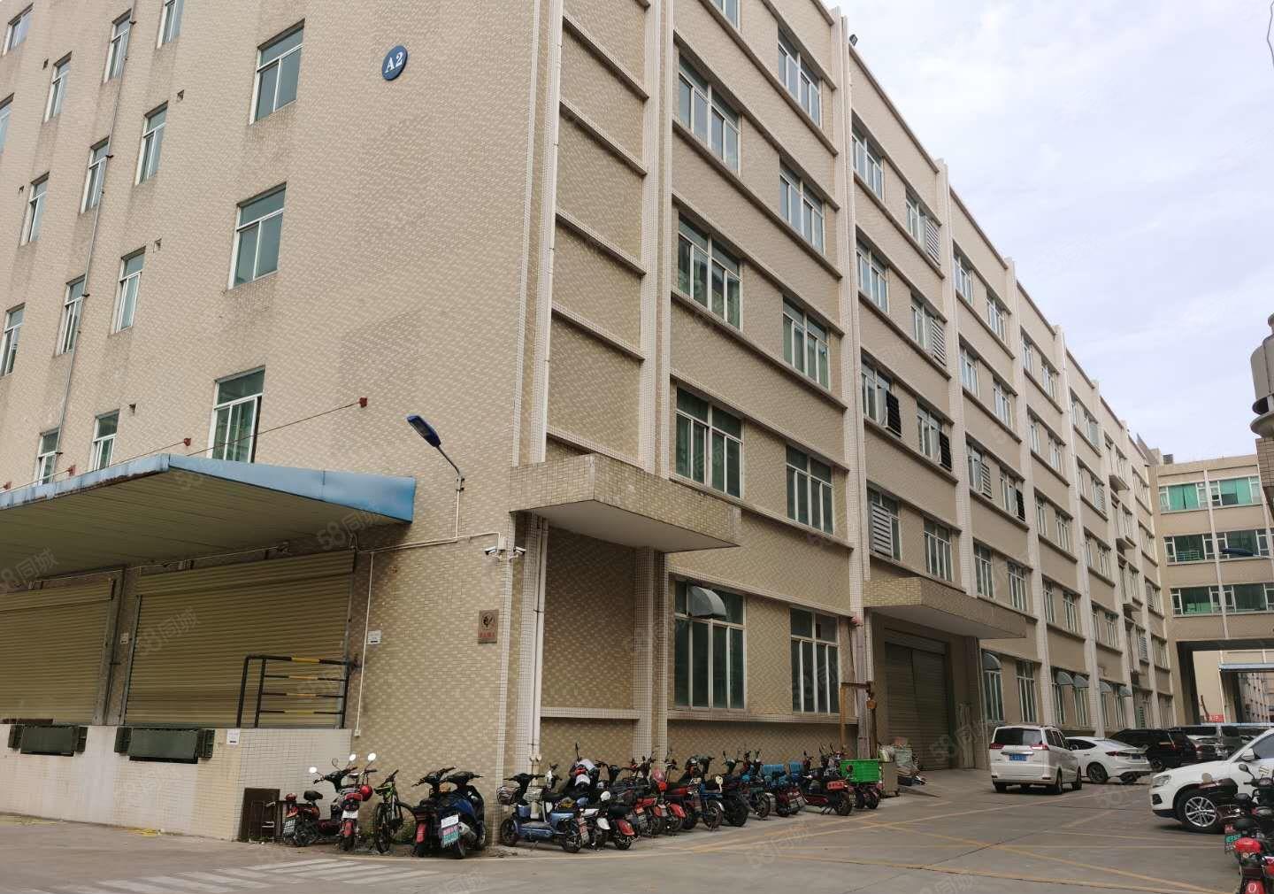 15元起租塘厦工业园区10000平厂房出租带红本可分租