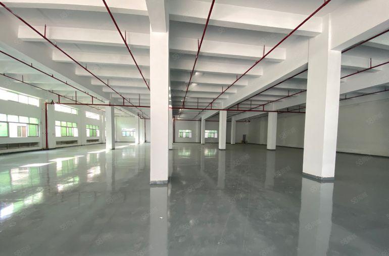 塘厦四村新出厂房一楼2000平层高6米特价全新地坪漆